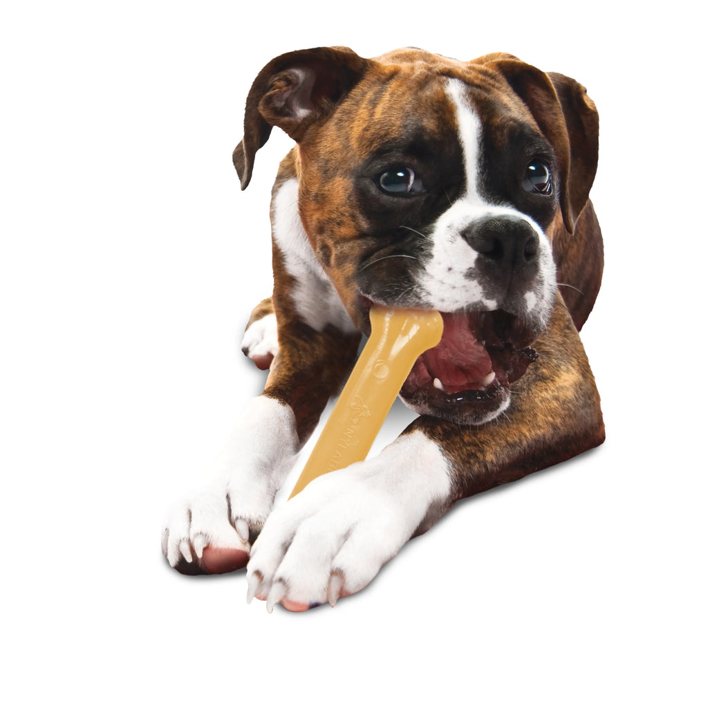 Flavored Durable Chew Toy for Dogs Large/Giant (1 Count) E851446