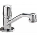Chrome Single Hole Metering Faucet W427570