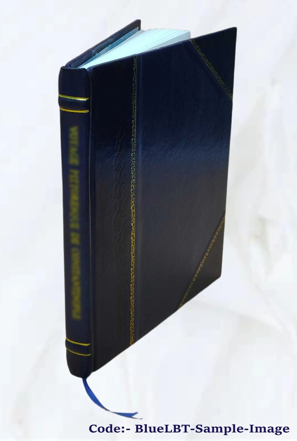 Panegyricus D510
