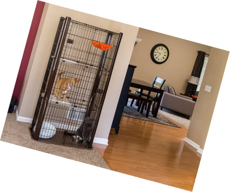 Brown 3-Tier Cat Condo I908330