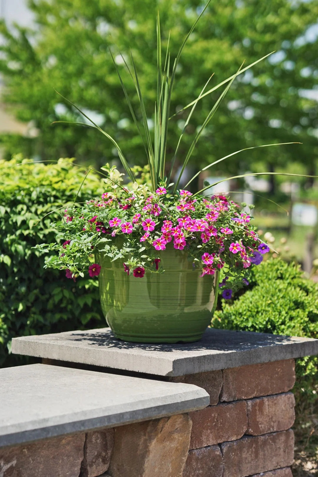 Dark Green 15" Glazed Plastic Planter Y795