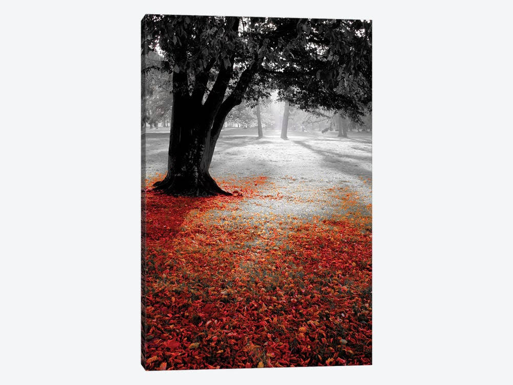 Autumn Contrast Canvas Art R129