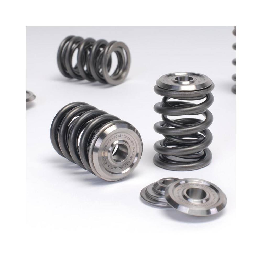 Valve Spring and Retainer Kit Z479