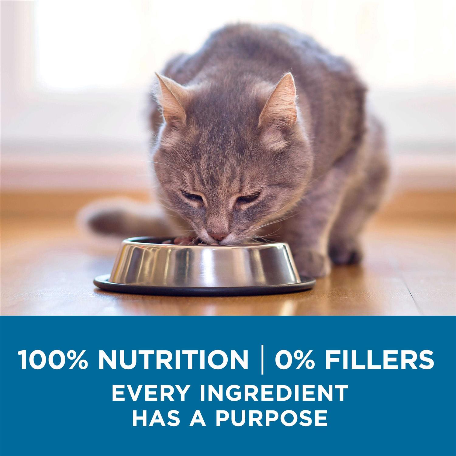 Senior Dry Cat Food L874