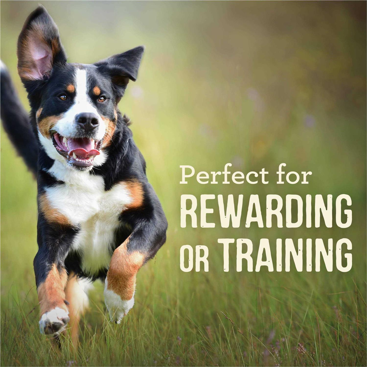 Dog Treats Power Bites A398513