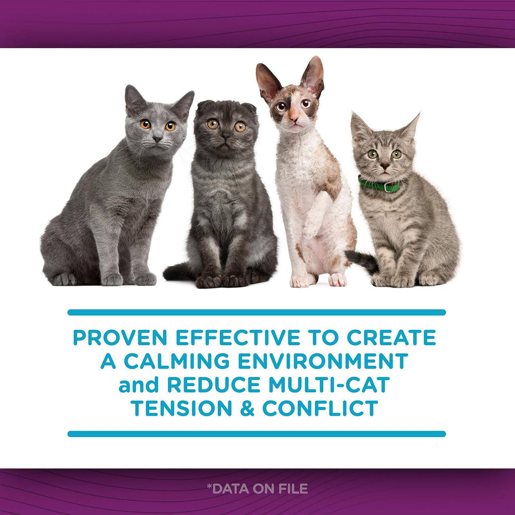Comfort Zone Cat Multicat Diffuser Refill 6 Pack P71297