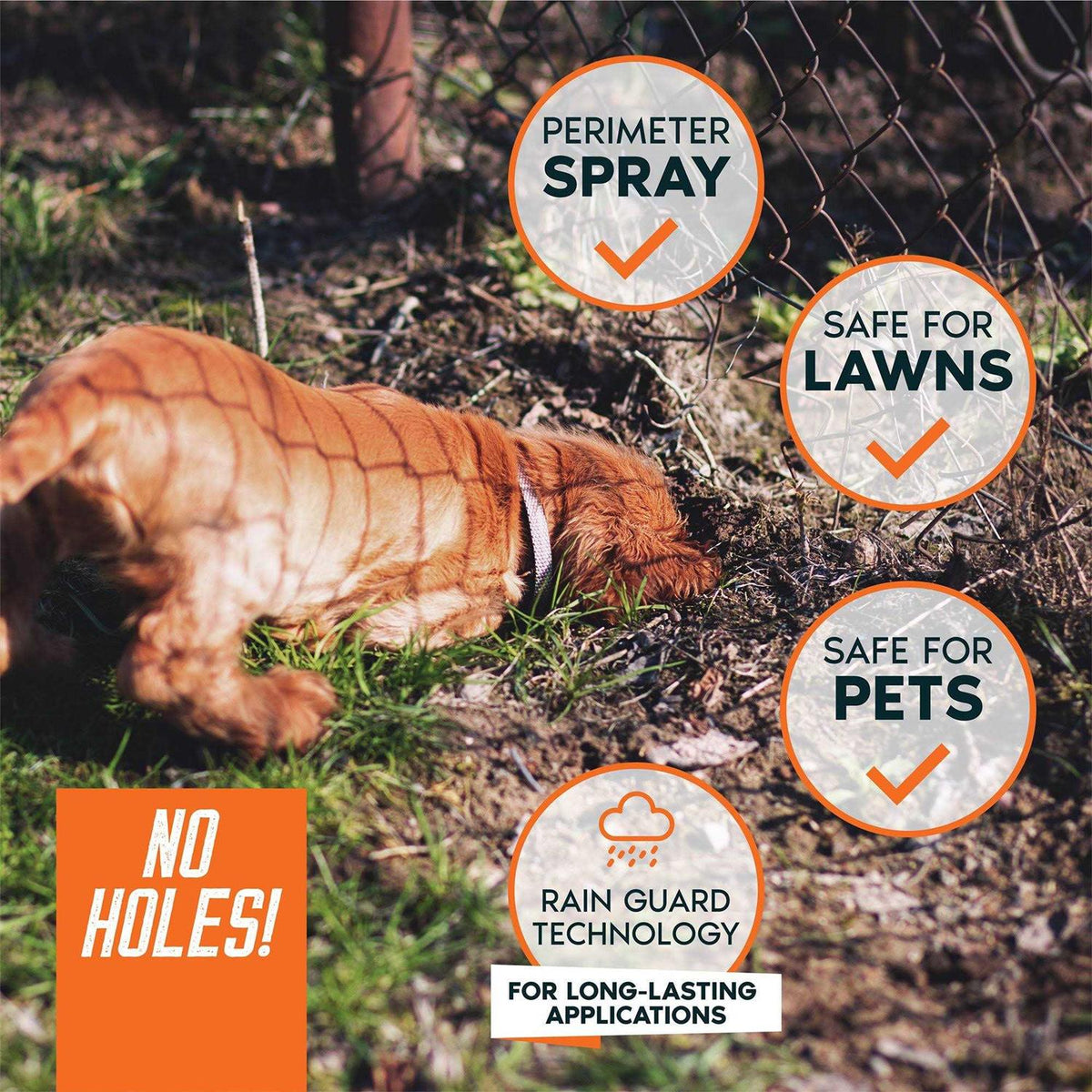 Dog Digging Prevention Spray D17627
