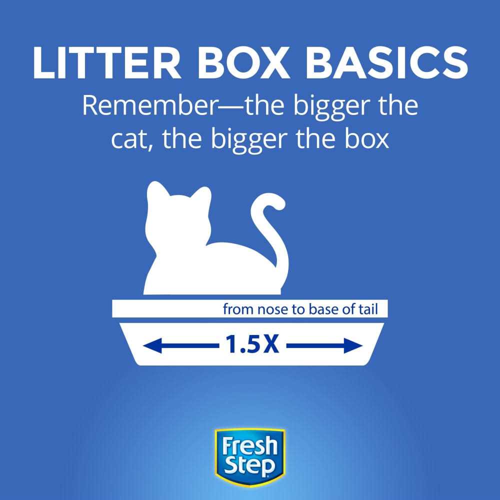 Calm Cat Litter, Unscented Clumping Clay Q555440