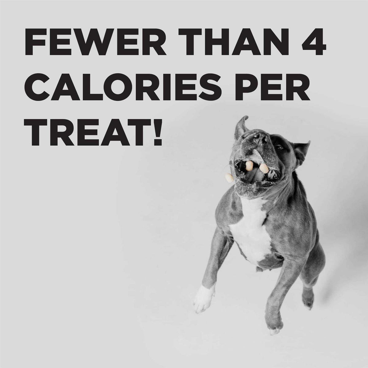 Ruff Puffs Flavor Dog Treats L865