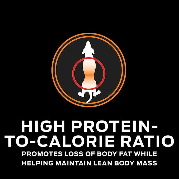 Overweight Management Dry Dog Food H84048