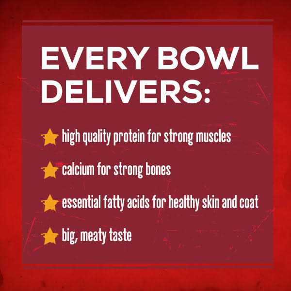 Savory Beef Dry Dog Food N640