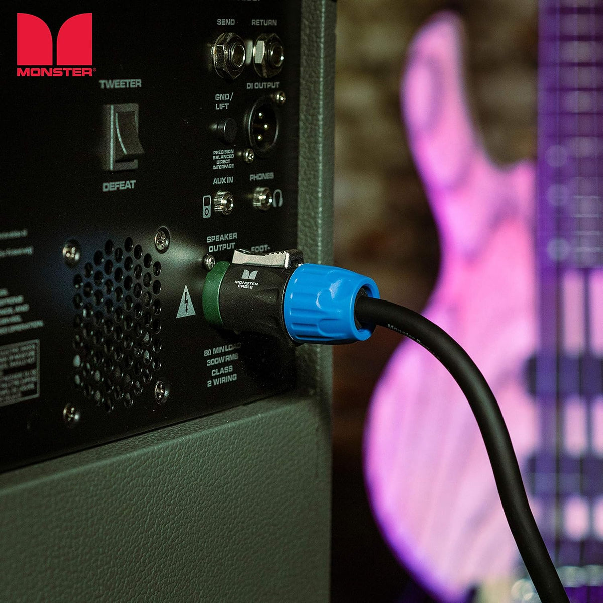 10ft Speaker Cable with SpeakOn Connectors D2863