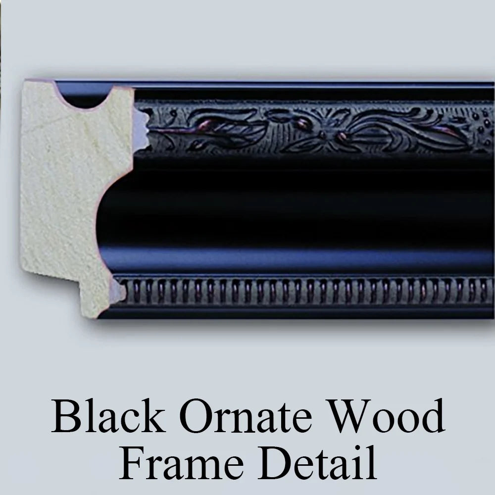 Black Ornate Wood Framed Double Matted Art Print C682