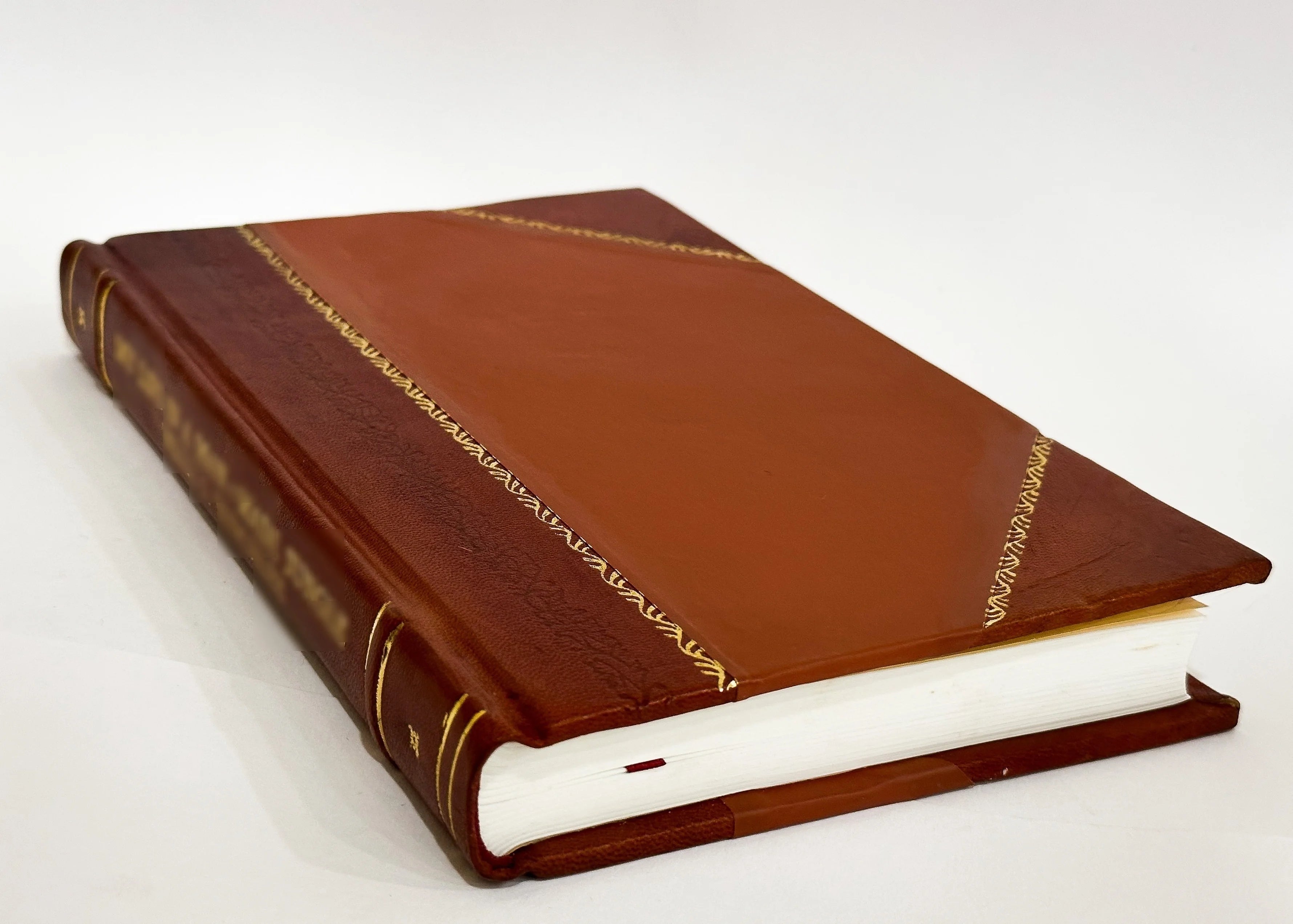 Leather Bound Book X1269