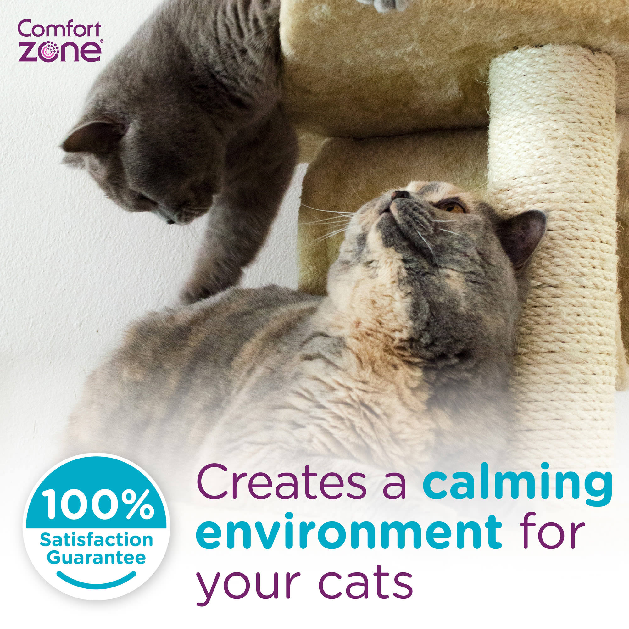 Comfort Zone Cat Multicat Diffuser Refill 6 Pack P71297