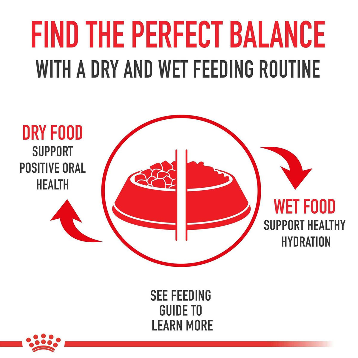 Medium Adult Dry Dog Food Y159684