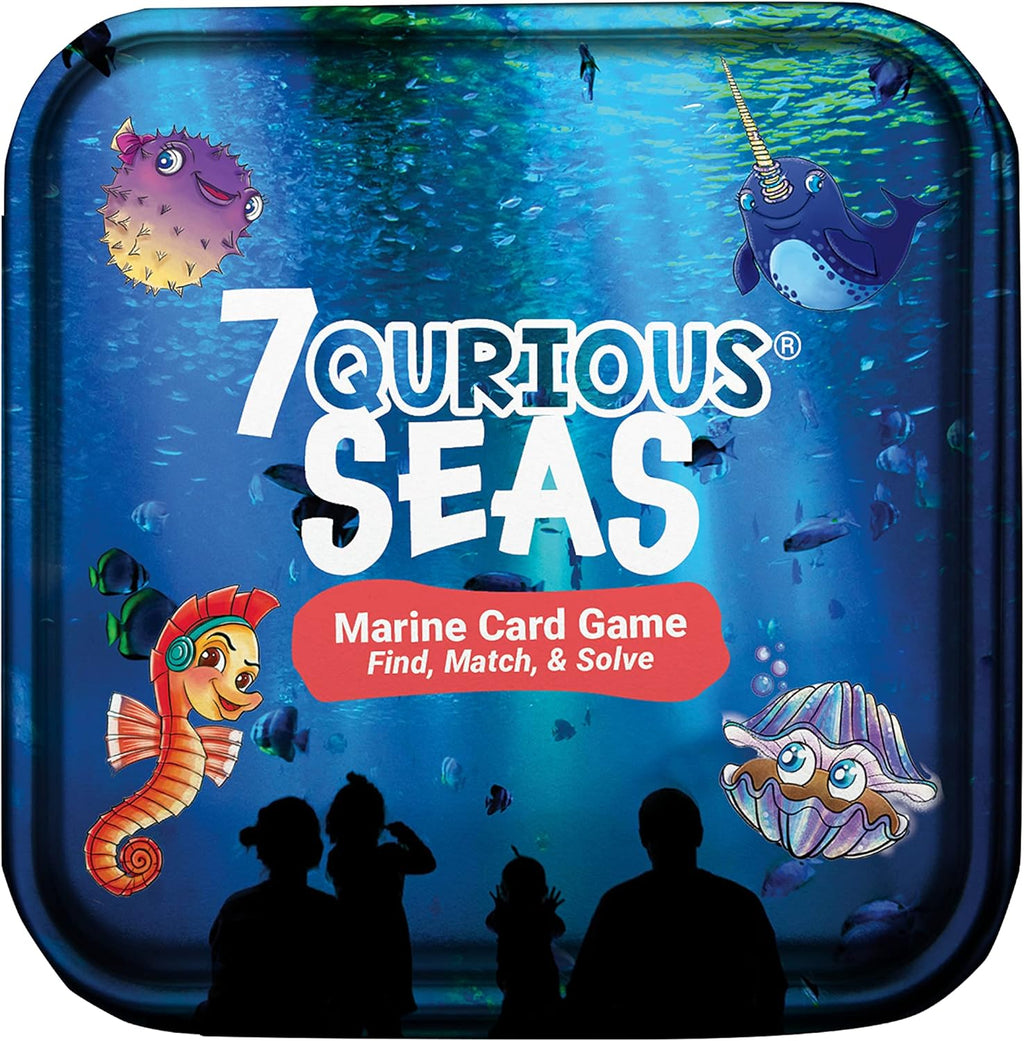 STEM Flash Card Game C803