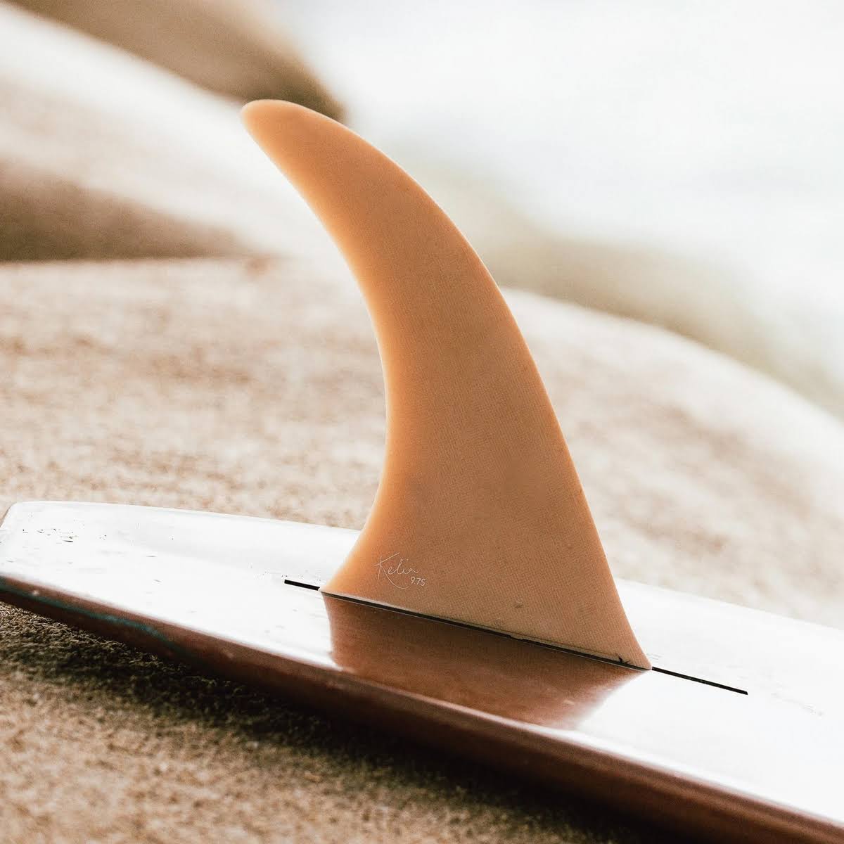Longboard Fin 9.75in I529