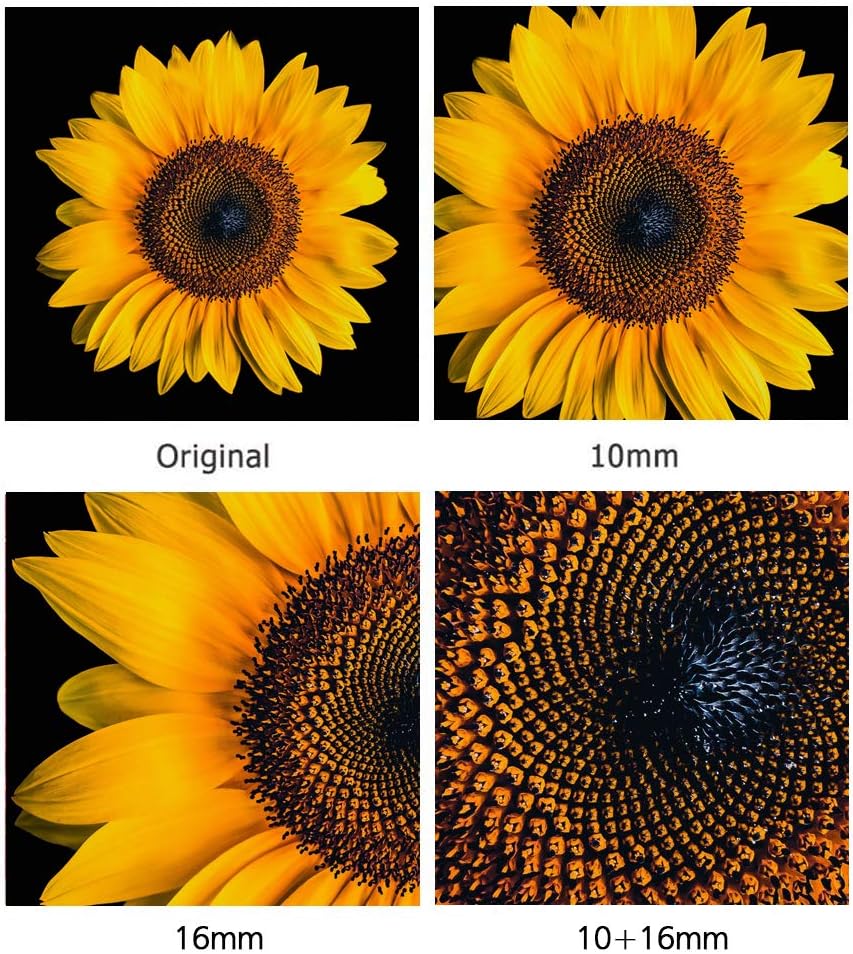 Extension Tube for Micro 4/3 System Camera T79552