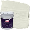 5 gal Exterior Paint + Primer L4465