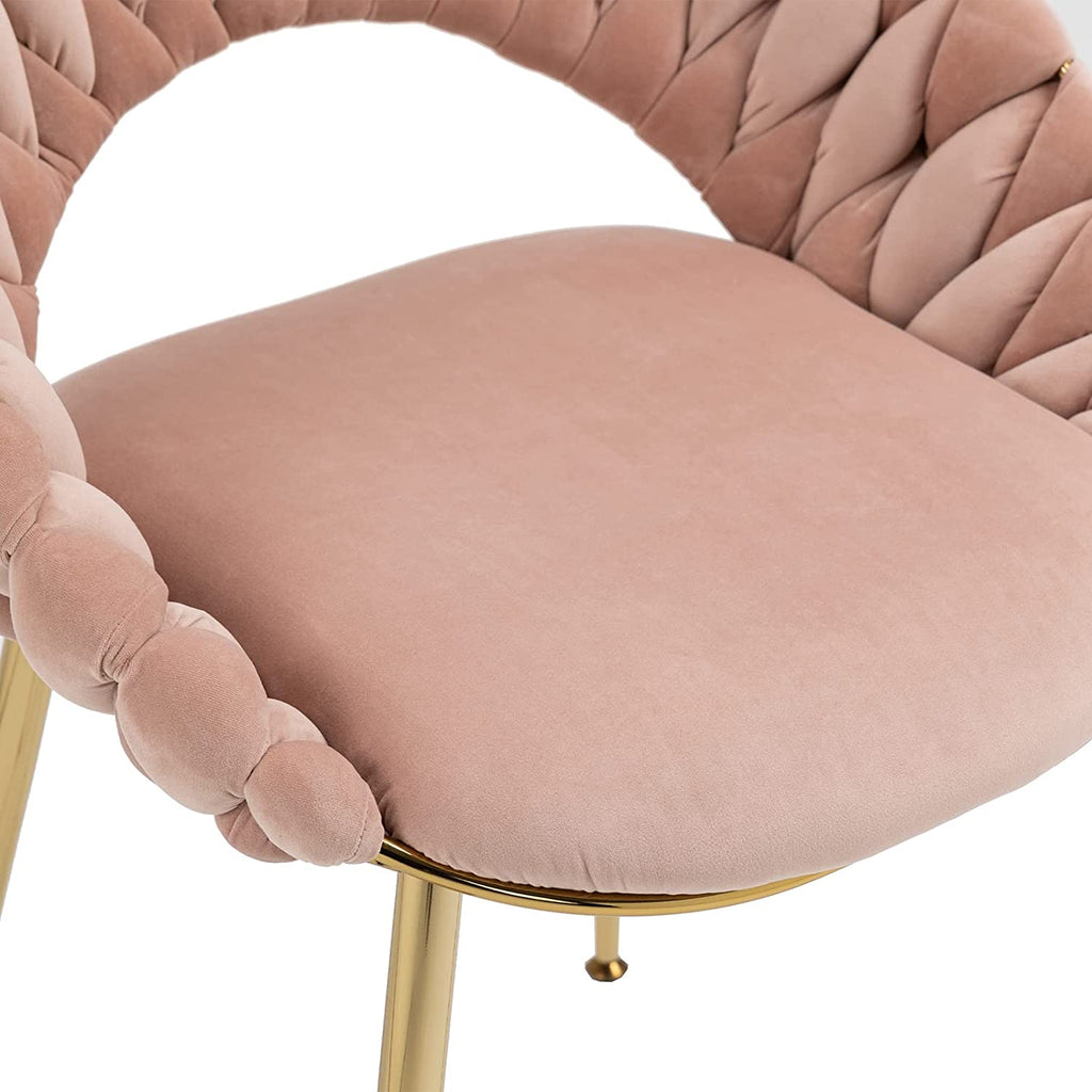 Pink Velvet Accent Chair Set of 2 with Gold Legs N1165