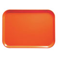Rectangular Fiberglass Camtray, 13 inch x 17 inch L316911