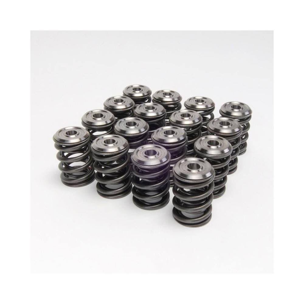 Valve Spring and Retainer Kit Z479