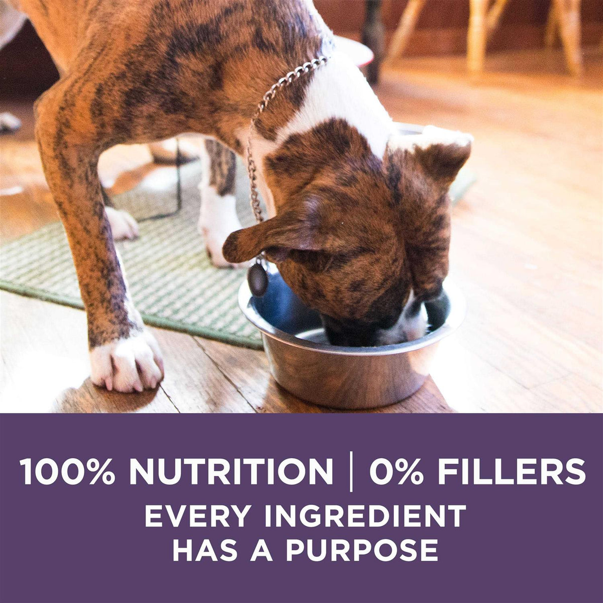 Adult Dry Dog Food for Senior Dogs H630