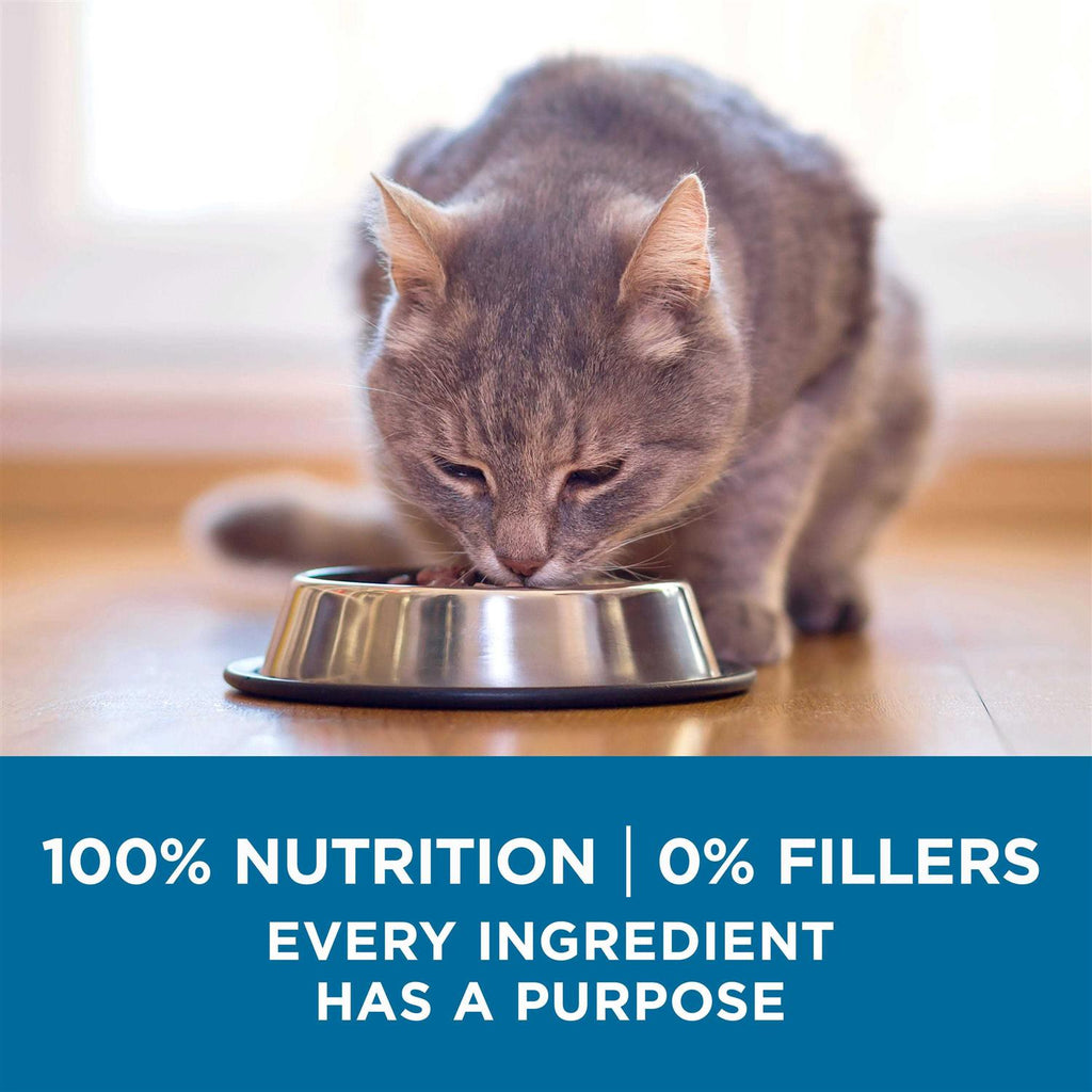 Senior Dry Cat Food for Older Cats A8484