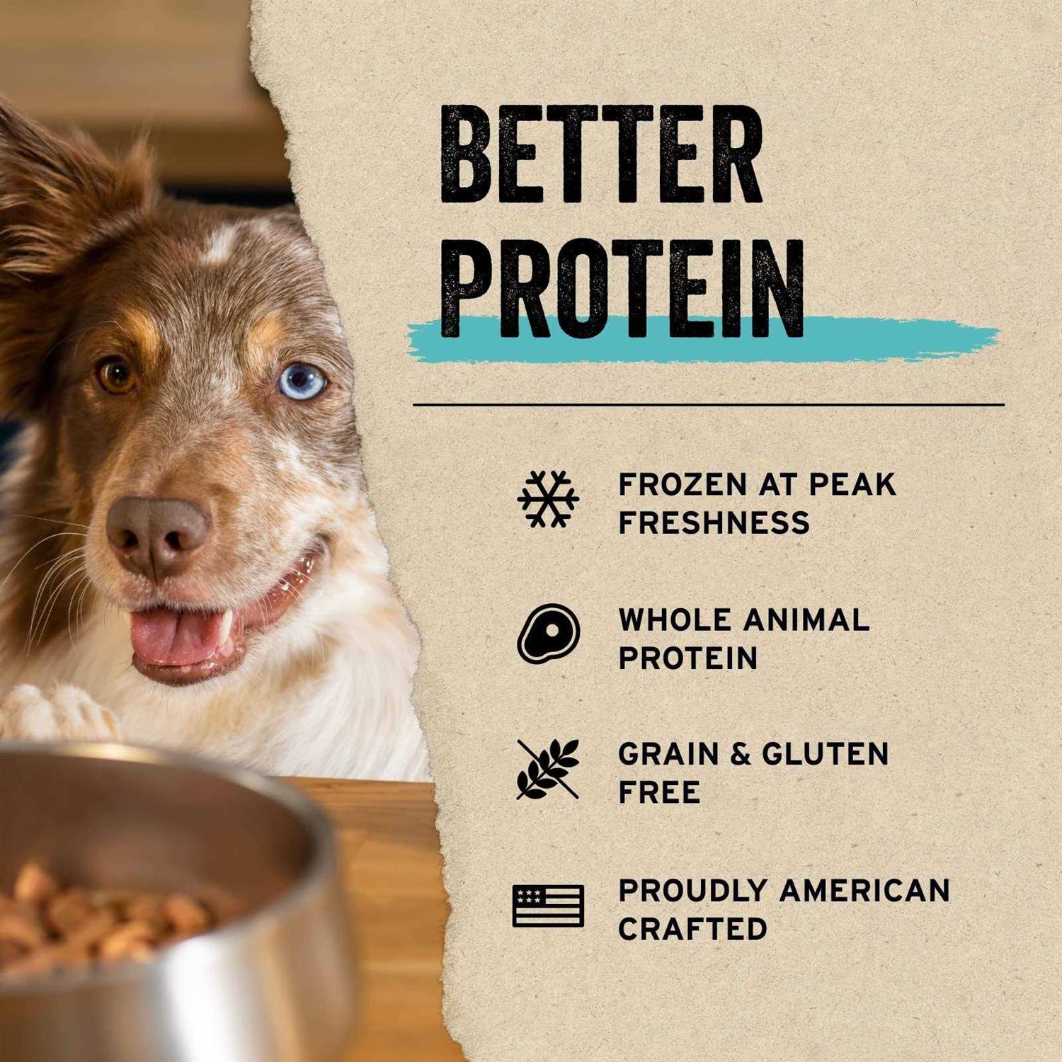 Freeze Dried Beef Bites Dog Treats M117091