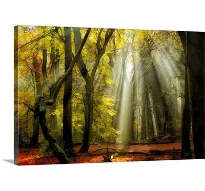 Canvas Photographic Print, 16x22 H x 24x22 W x 1.5x22 D I450