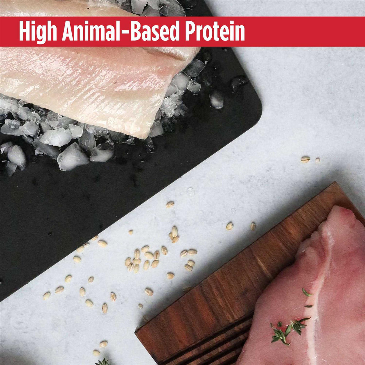 Grain-Free Turkey & Cod Dry Cat & Kitten Food C568430