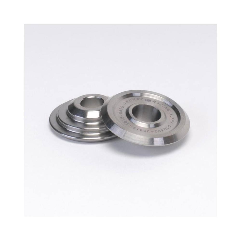 Valve Spring and Retainer Kit Z479