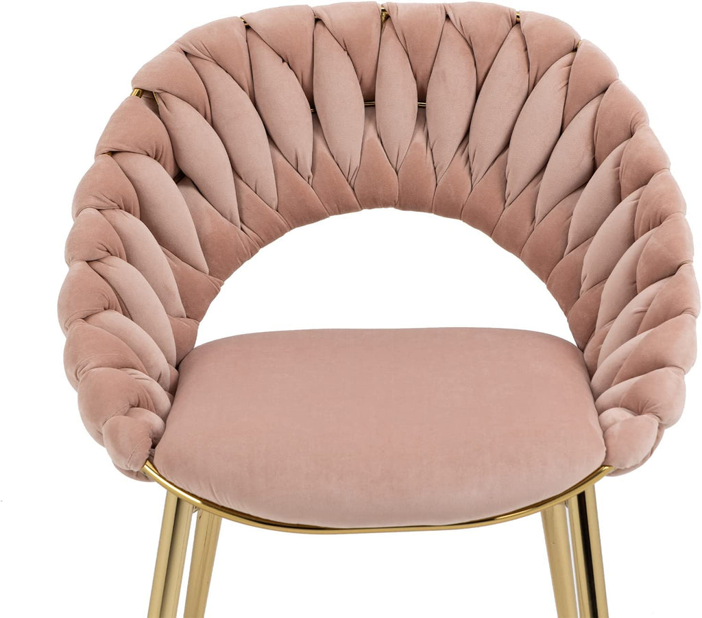Pink Velvet Accent Chair Set of 2 with Gold Legs N1165