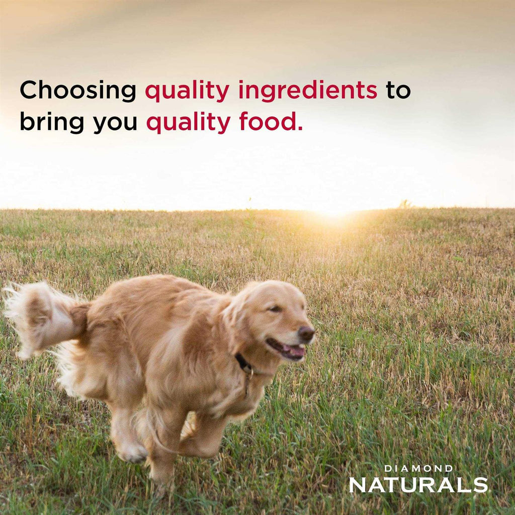 Senior Dry Dog Food O197