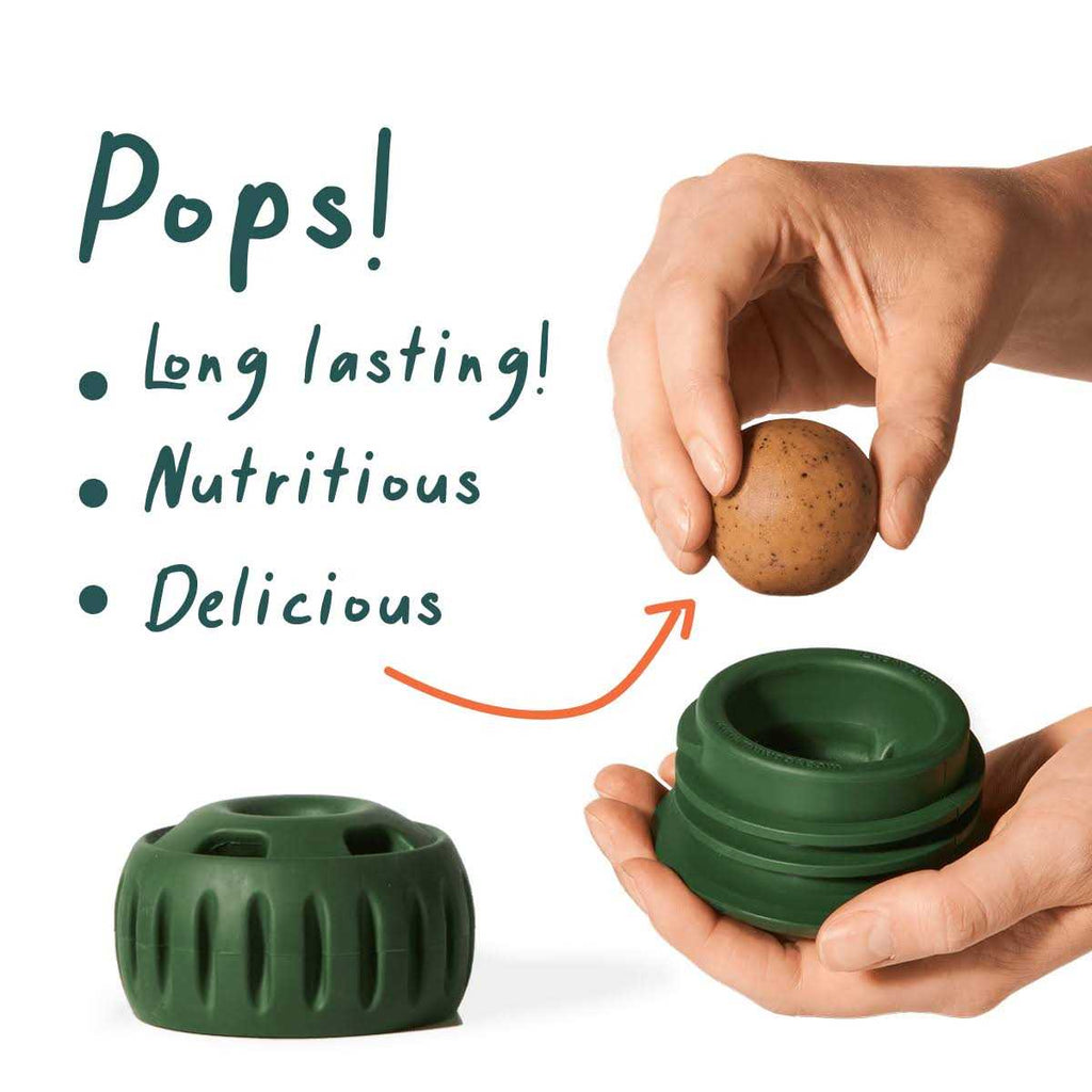 Pupsicle Starter Pack Treat for Dogs F912343