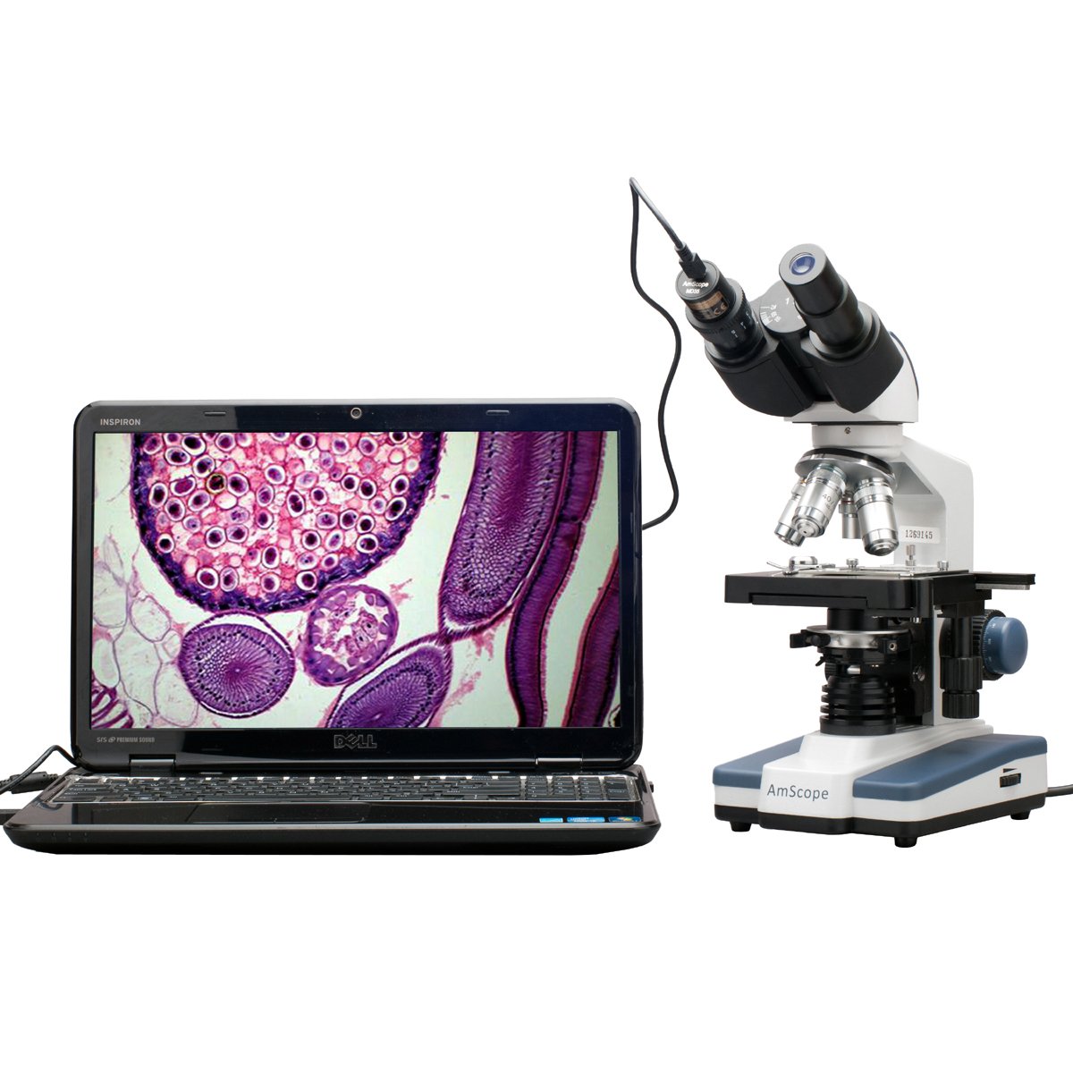 40X-2500X LED Digital Binocular Compound Microscope with 3D Stage and USB Camera F836933