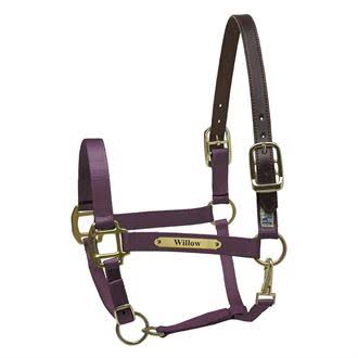Nylon Safety Halter with Nameplate Z4490