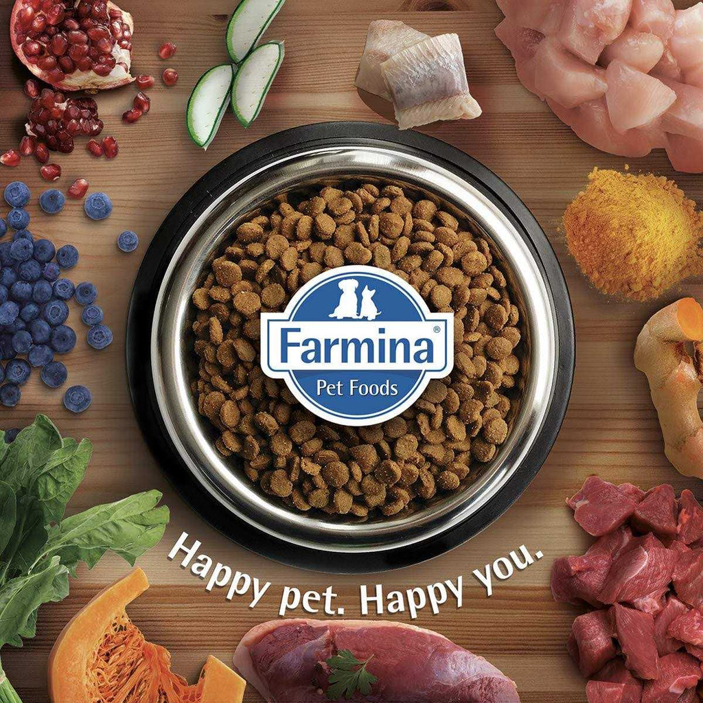 Chicken & Pomegranate Grain Dry Dog Food for Medium & Maxi Adult Dogs L340