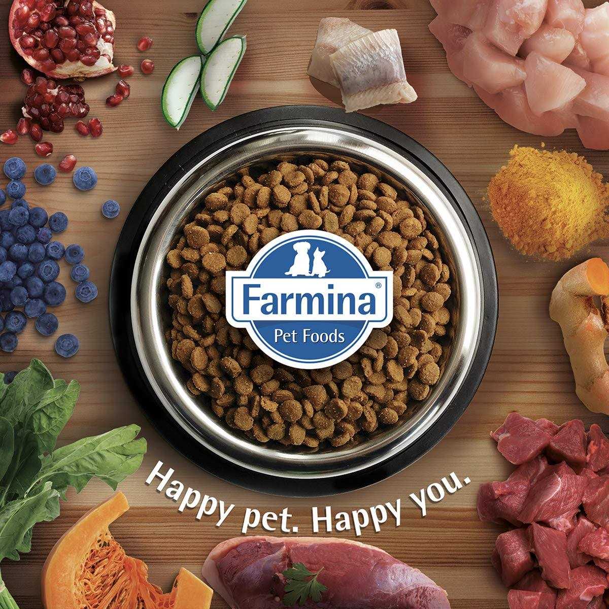 Chicken & Pomegranate Grain Dry Dog Food for Medium & Maxi Adult Dogs L340