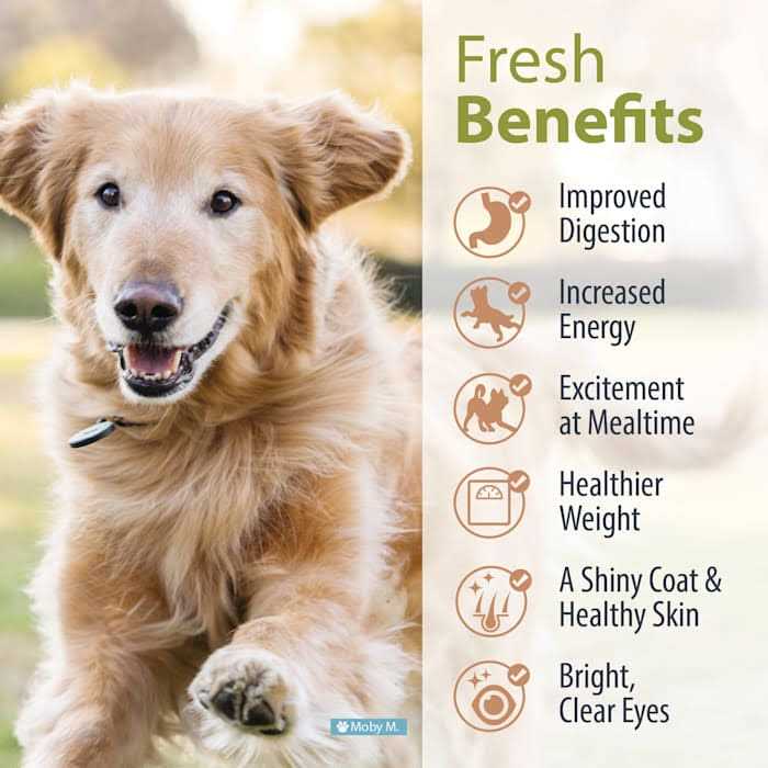 Balanced Remedy Frozen Dog Food V60405