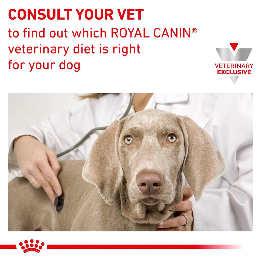 Veterinary Diet Canine Dental Dry Dog Food for Medium & Large Breeds J896339