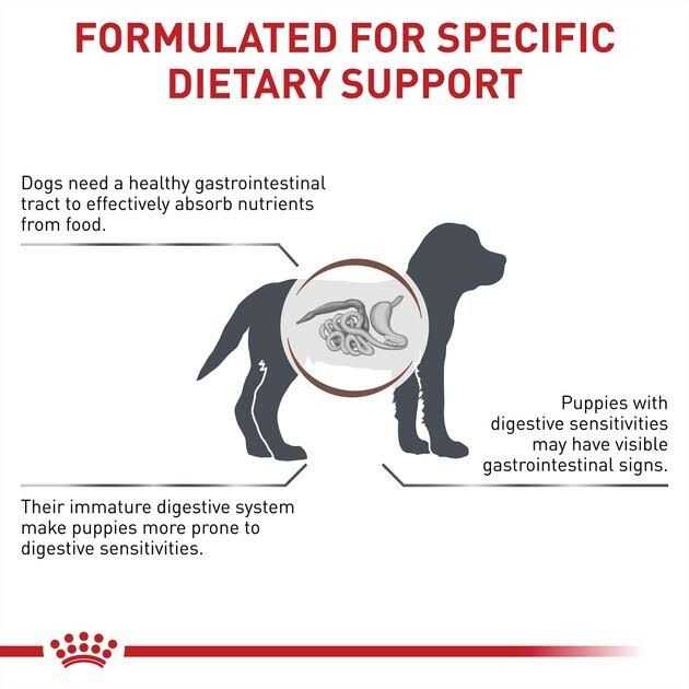 Gastrointestinal Puppy Ultra Soft Mousse in Sauce Canned Dog Food W739825