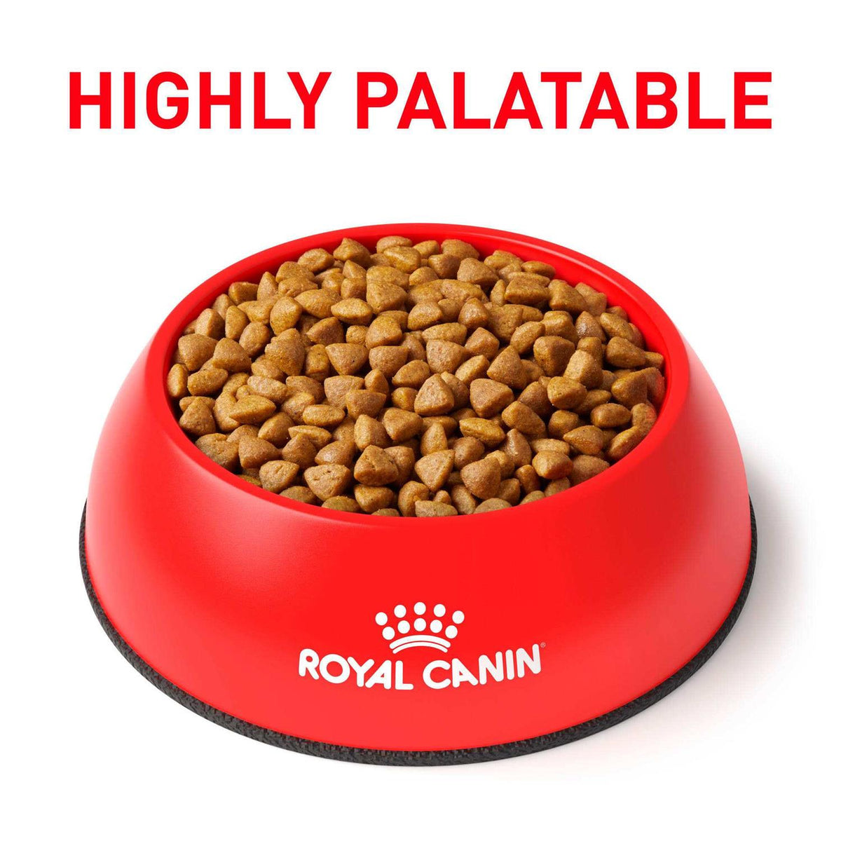 Gastrointestinal Dry Cat Food M911