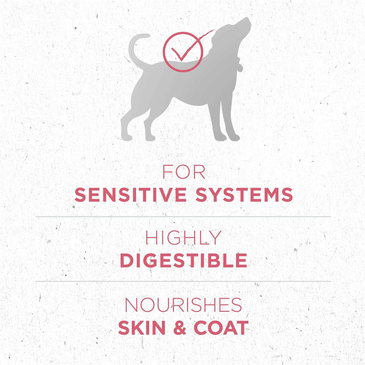 Dry Dog Food for Skin & Coat B4880
