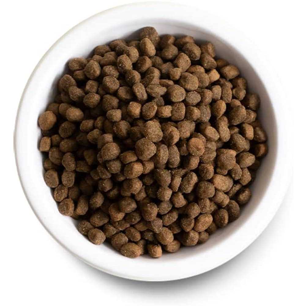 Ancient Grains Dry Dog Food E890740