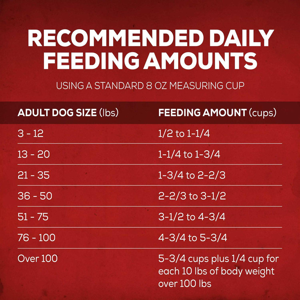 Savory Beef Dry Dog Food K387