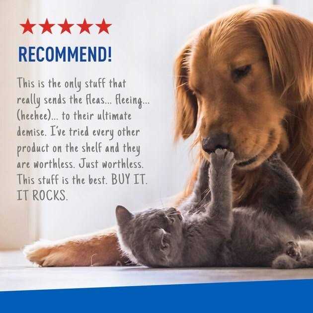 Flea and Tick Spray for Pets W580