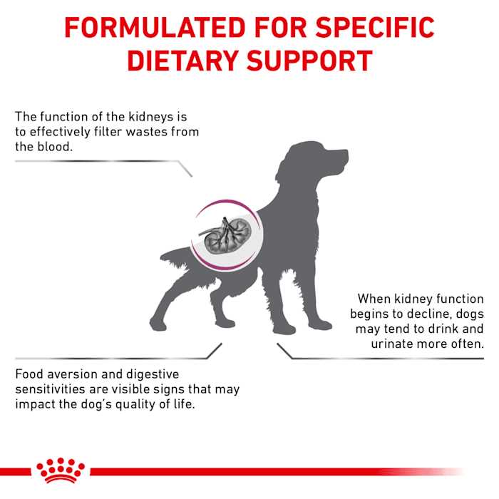 Veterinary Diet Renal Support Dry Dog Food B667509