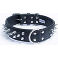 Amsterdam Dog Collar Spiked - Pet Supplies online store